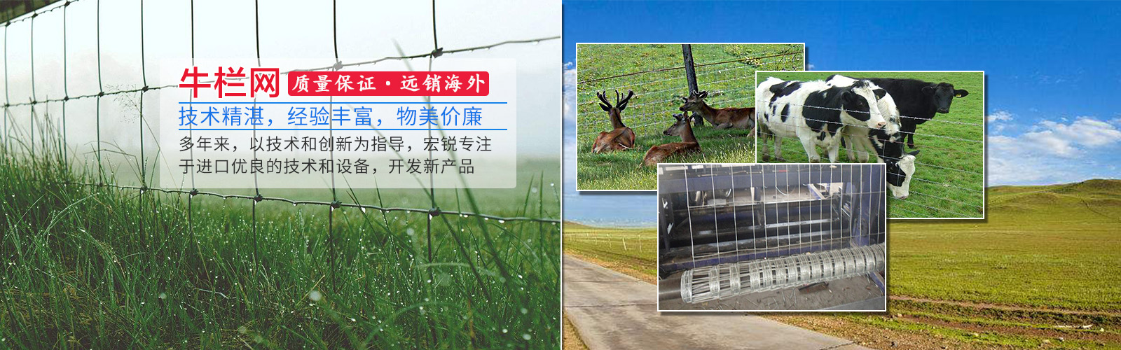 深州市宏銳五金網(wǎng)業(yè)制品有限公司